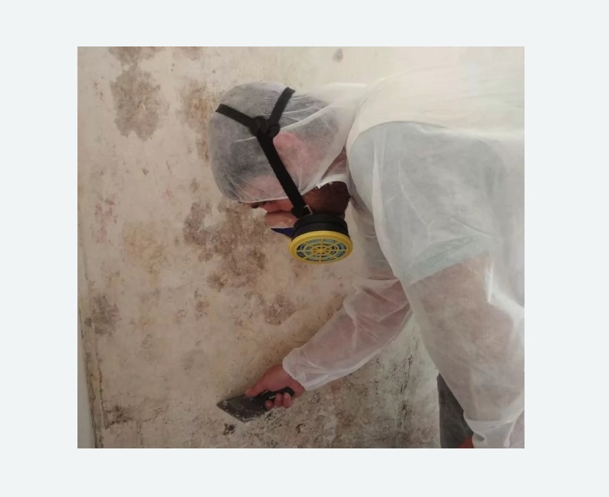 Удаление ПЛЕСЕНИ в Надыме – Обработка стен от грибка